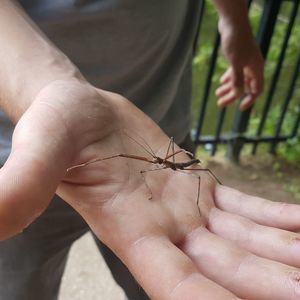 Meet your Posher, Sandra